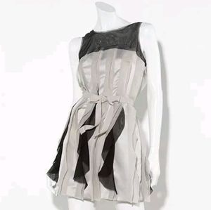 Flirty Fun Dress